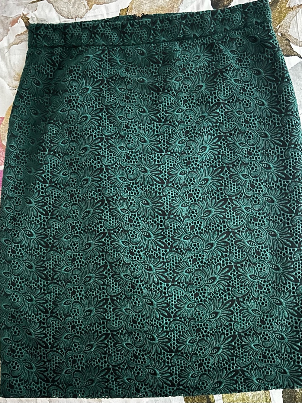 Ann Taylor Green Lace A-Line Skirt